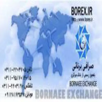 صرافی برنایی - مشاوره مالی - www.borex.ir