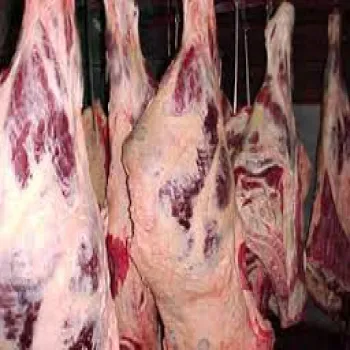 فروش ویژه گوشت گوسفندو گوشت گوساله