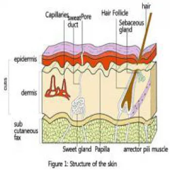آموزش مراقبت پوست و مو
