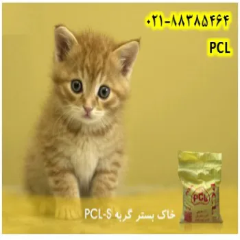 خاک بستر گربه پی سی ال S(PCL-S)