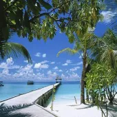 تور جزیره مالدیو