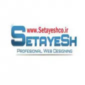 طراحی تخصصی وب سایت