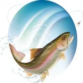 بارسو، دارنده مدال طلای کیفیت در تولید ماهی قزل آلا