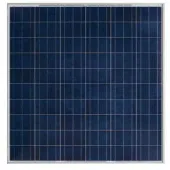 فروش پنل خورشیدی yingli یینگلی در وات های مختلف