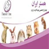 همستر ایران مرکز تخصصی جوندگان و خرگوش شکلان