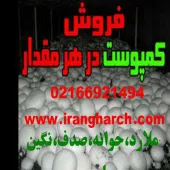 ایران قارچ تامین کننده کمپوست قارچ دکمه ای،خاک پوششی و بذر قارچ دکمه ای از بهترین ک