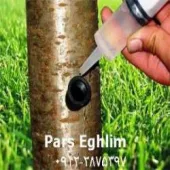 تزریق مستقیم مواد مغذی به تنه درخت