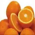 عرضه مستقیم انواع پرتقال تامسون شمال والنسیا رسمی و...
