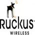 تجهیزات حرفه ای وایرلس Ruckus Wireless