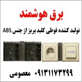 بلک (برق هوشمند) تولید کننده قوطی کلید پریز از جنس ABS
