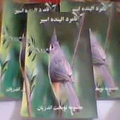 فروش کتاب شعر ( نامردالینده اسیر) به زبان ترکی آذری