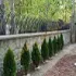 ساخت حفاظ|حفاظ دیوار|حفاظ شاخ گوزنی|حفاظ بوته ای|حفاظ لاله |حفاظ لیلیوم