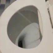 بیده توالت فرنگی