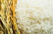 فروش برنج ایرانی در ساوه